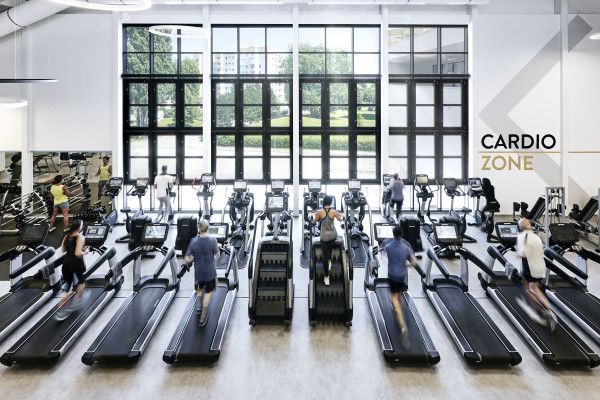 Industry & Companies