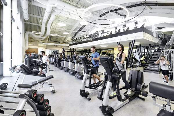 Industry & Companies