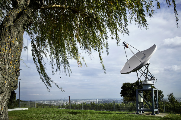 Industry & Companies