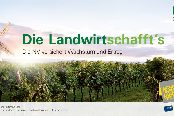 People & Advertising