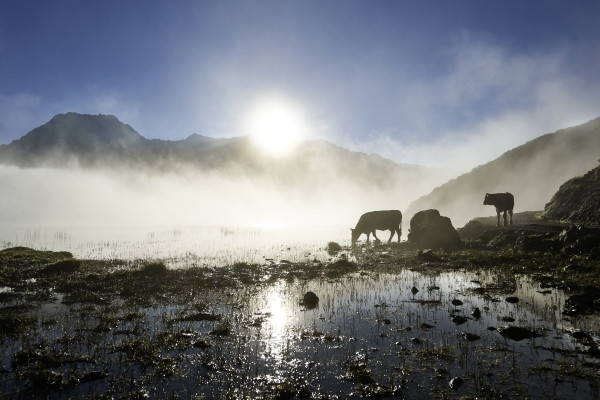 Landscapes & Tourism