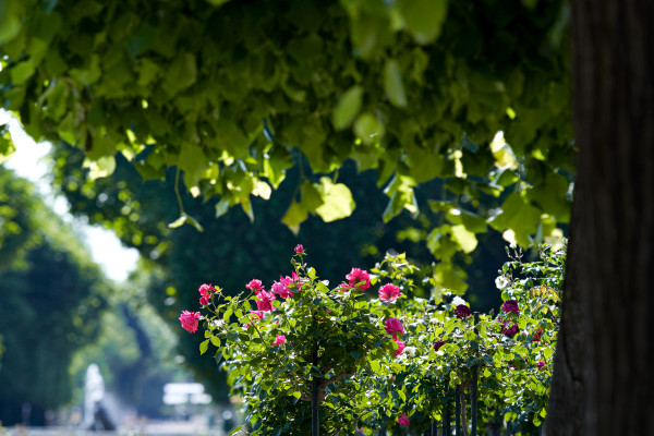 Landscapes & Tourism