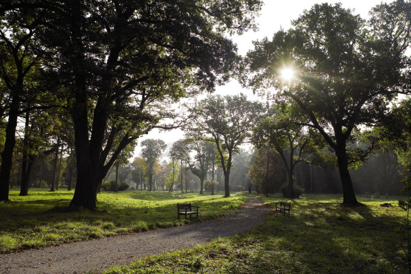 Landscapes & Tourism