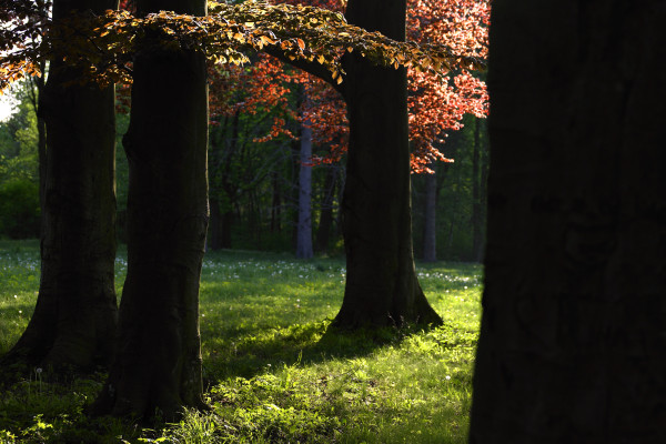 Landscapes & Tourism