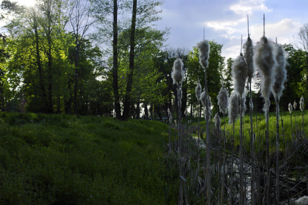 Landscapes & Tourism