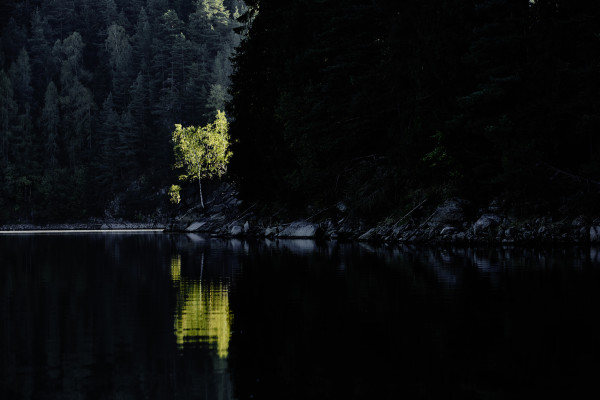 Landscapes & Tourism