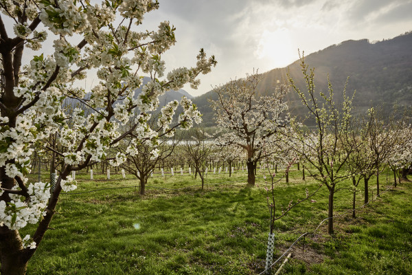 Landscapes & Tourism