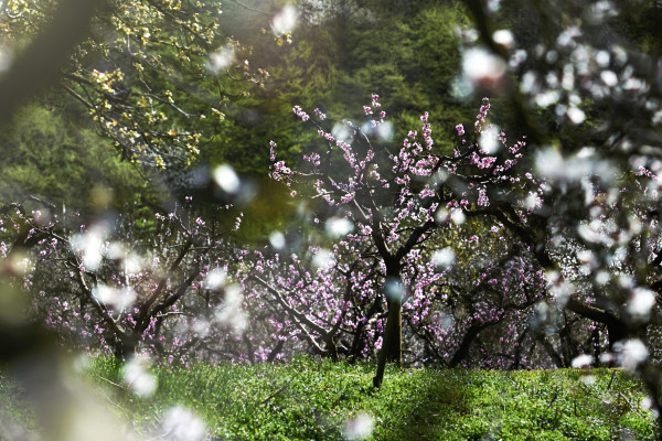 Landscapes & Tourism