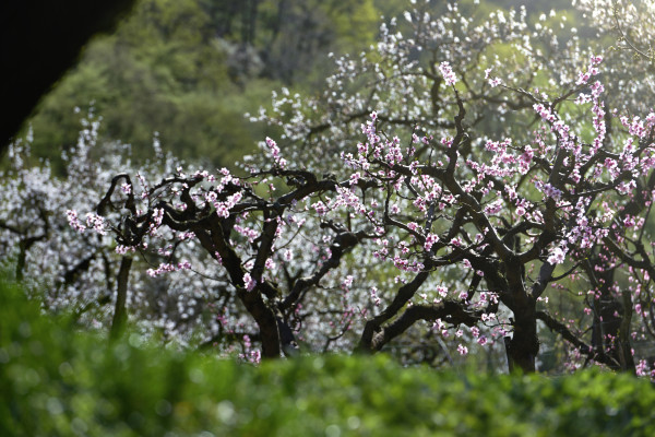 Landscapes & Tourism