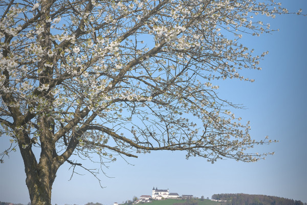 Landscapes & Tourism