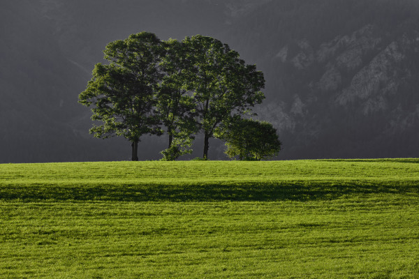 Landscapes & Tourism