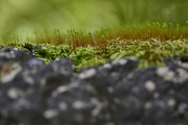 Landscapes & Tourism