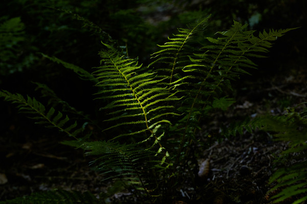 Landscapes & Tourism