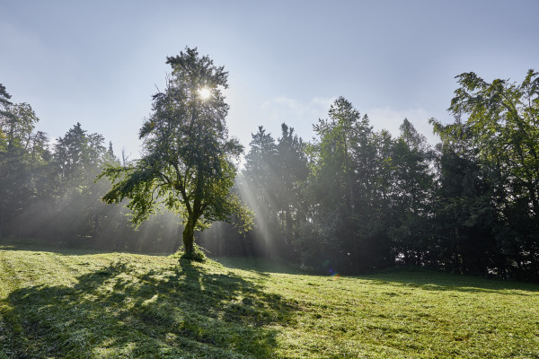 Landscapes & Tourism