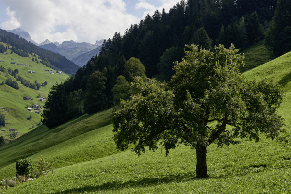 Landscapes & Tourism