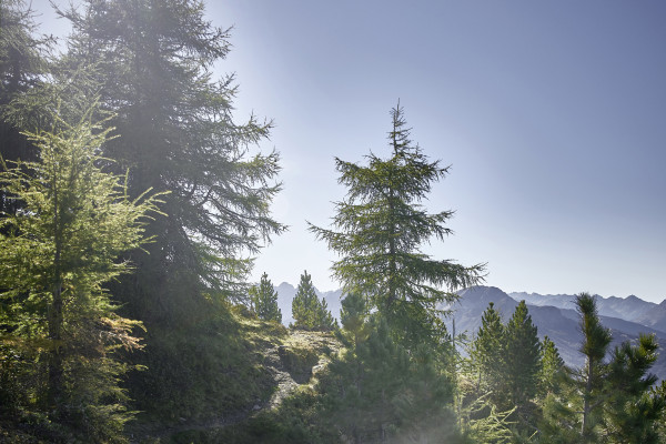 Landscapes & Tourism