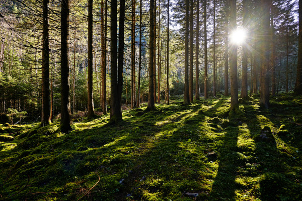 Landscapes & Tourism