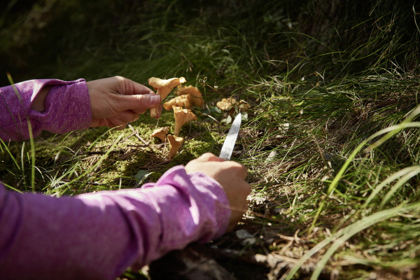 Landscapes & Tourism