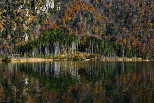 Landscapes & Tourism