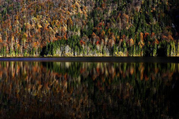 Landscapes & Tourism