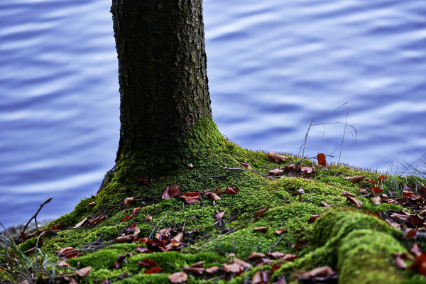 Landscapes & Tourism