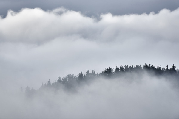 Landscapes & Tourism