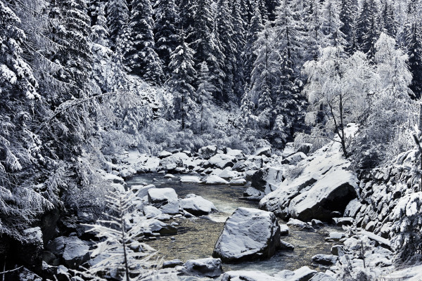 Landscapes & Tourism