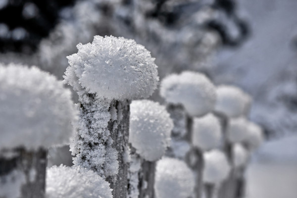 Landscapes & Tourism